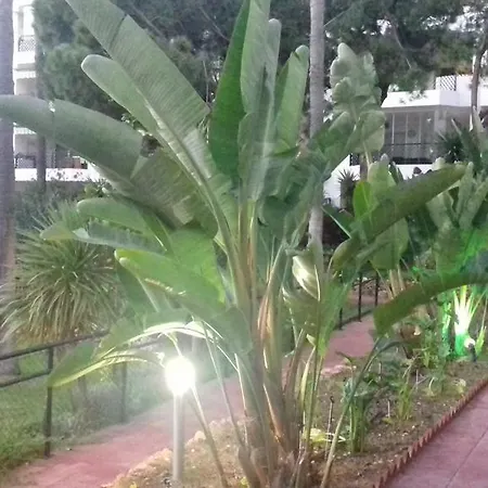 Mi Capricho Appartement